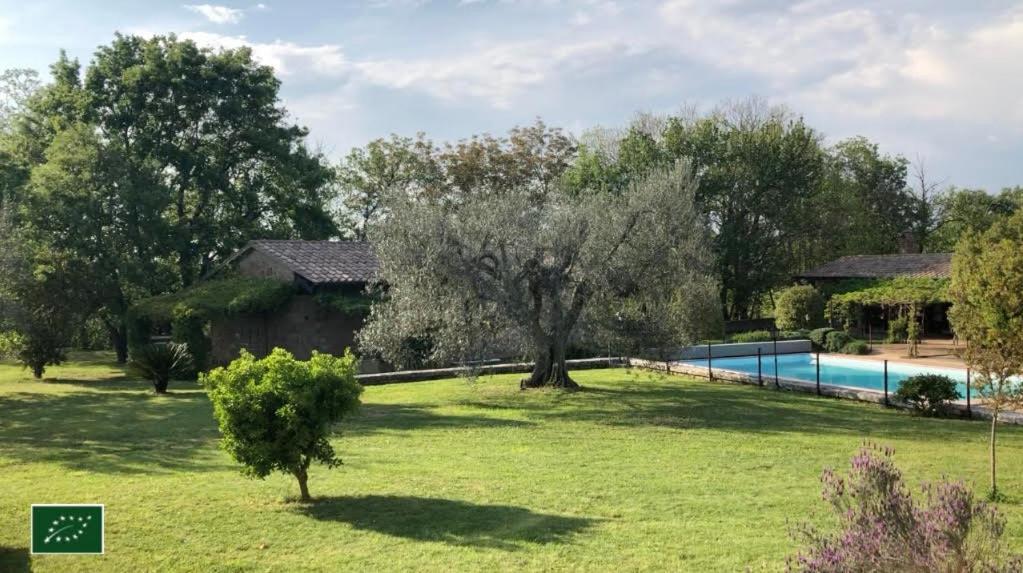 Agriturismo Eco-Bio Villa Vacasio Pitigliano Exterior foto