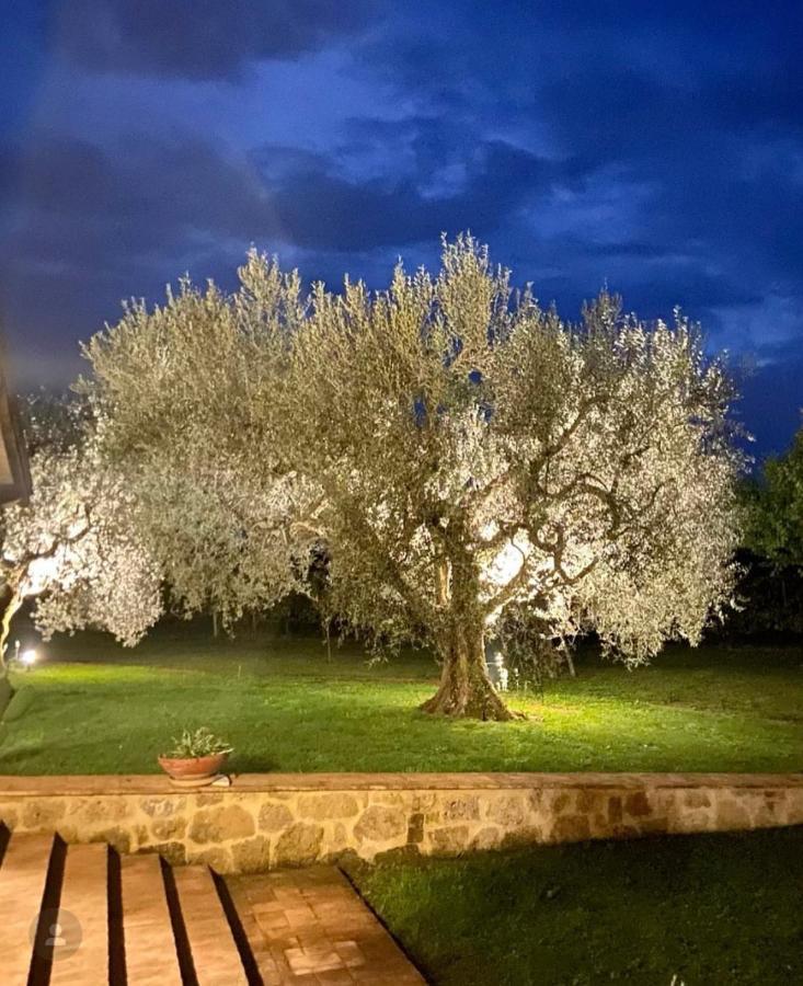 Agriturismo Eco-Bio Villa Vacasio Pitigliano Exterior foto